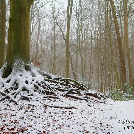 شاليه Dutchduochalet13 *