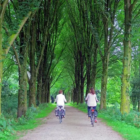 Dutchduochalet13 جرافنزانده