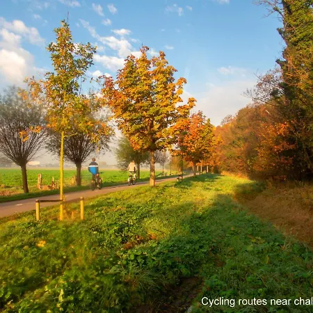 Dutchduochalet13 شاليه