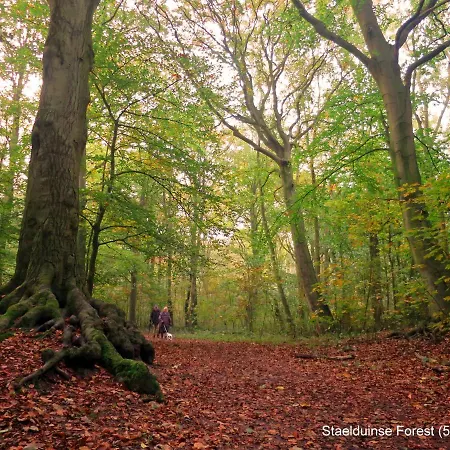 Dutchduochalet13 شاليه