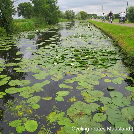 شاليه Dutchduochalet13 *