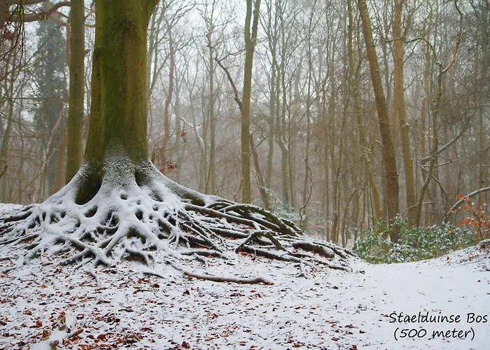 Casa de Férias Dutchduochalet13 *