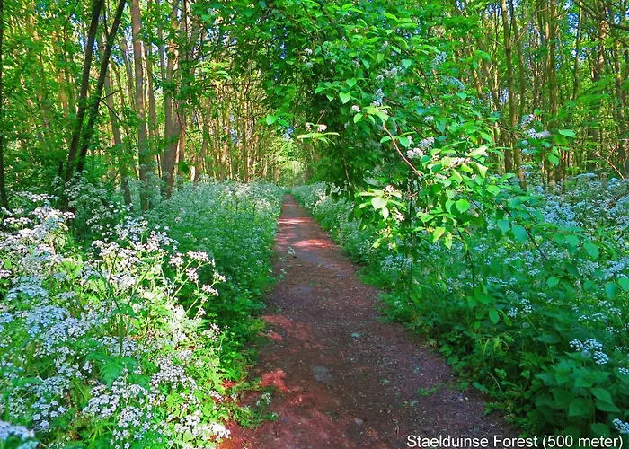 Dutchduochalet13 Сasa de vacaciones *