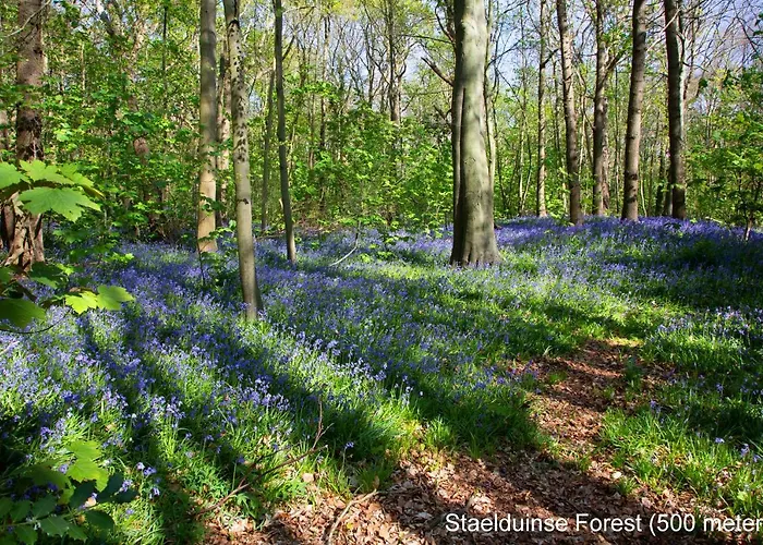 Dutchduochalet13 Casa de Férias