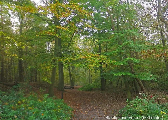 Dutchduochalet13 * s-Gravenzande