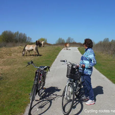 Dutchduochalet13 * ス・グラーヴェンザンデ