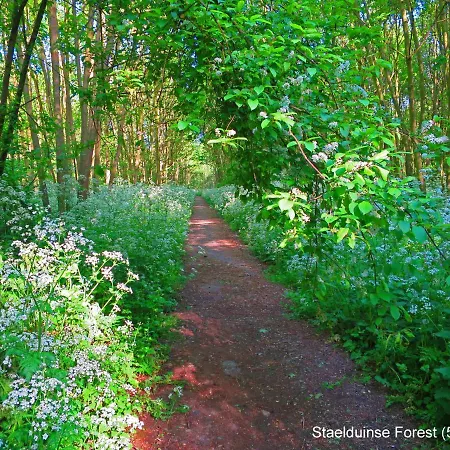 Dutchduochalet13 別荘 *