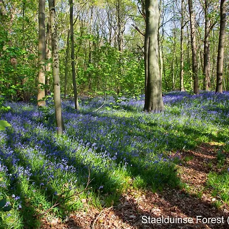 Dutchduochalet13 別荘