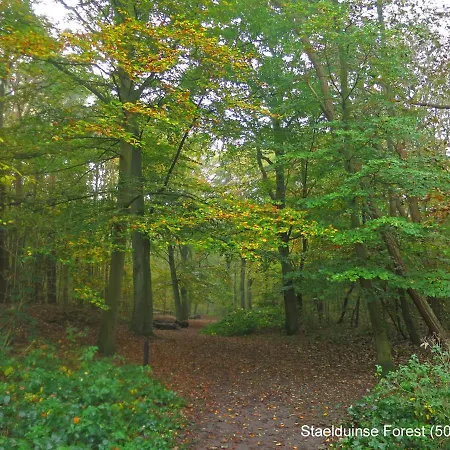 Dutchduochalet13 * ス・グラーヴェンザンデ