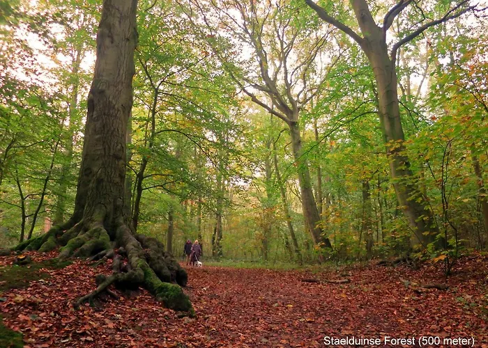 Dutchduochalet13 Feriehus