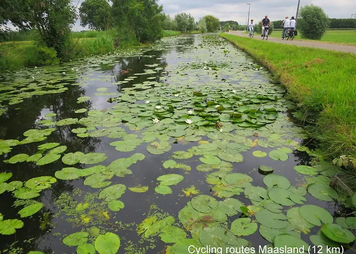 Feriehus Dutchduochalet13 *